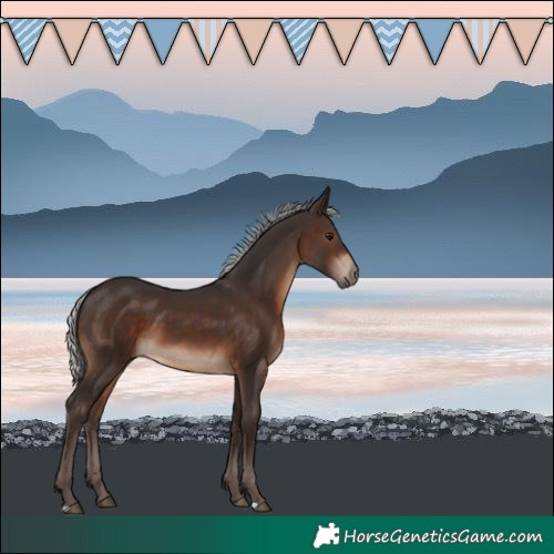 Horse Color:Silver Brown