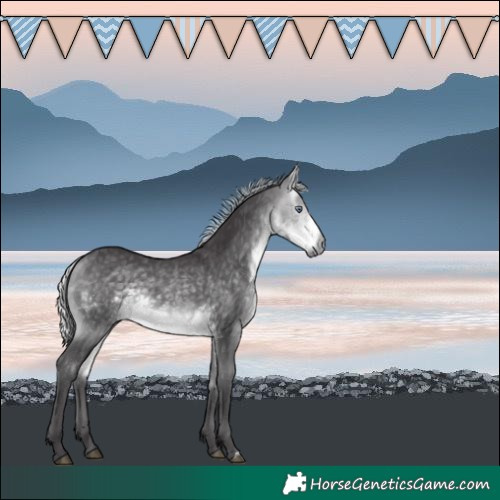 Horse Color:Silver Buckskin Chinchilla 
