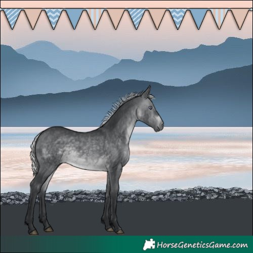 Horse Color:Silver Brown Chinchilla 