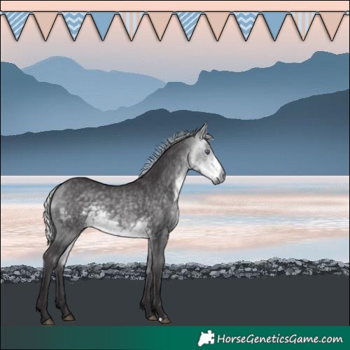Horse Color:Silver Buckskin Chinchilla Rabicano