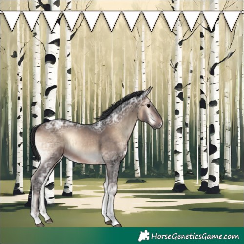 Horse Color:Brown Ice Onyx Tobiano Rabicano 