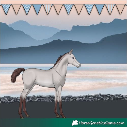 Horse Color:Chocolate Bay Chinchilla