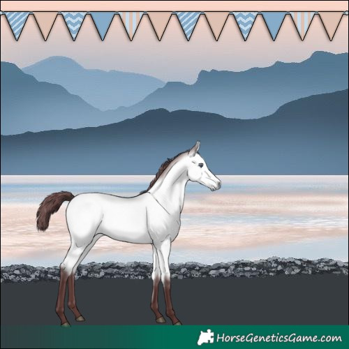 Horse Color:Chocolate Buckskin Chinchilla