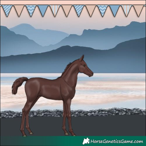 Horse Color:Chocolate Smoky Black Chinchilla