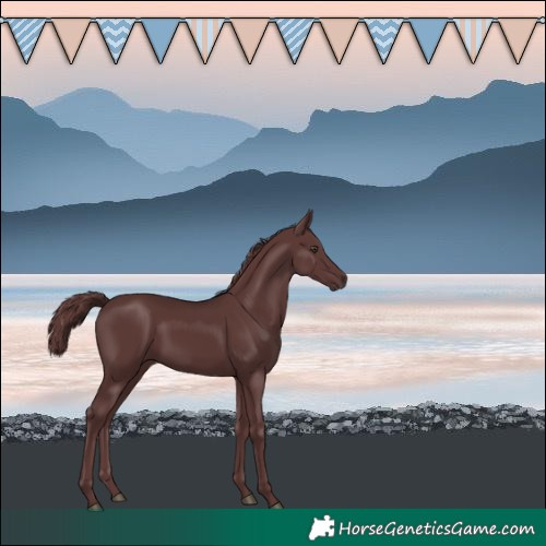 Horse Color:Chocolate Smoky Black Chinchilla
