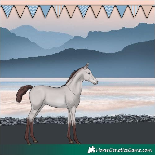 Horse Color:Chocolate Bay Chinchilla