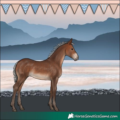 Horse Color:Silver Brown