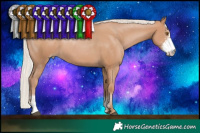 Horse Color:Silver Black Pearl Sabino 