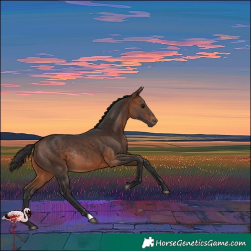 Horse Color:Bay Rabicano 