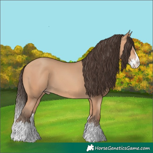 Horse Color:Amber Champagne Splash