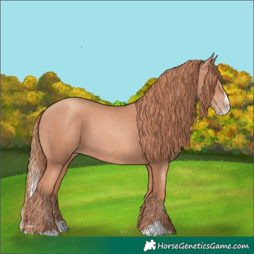 Horse Color:Gold Champagne Splash
