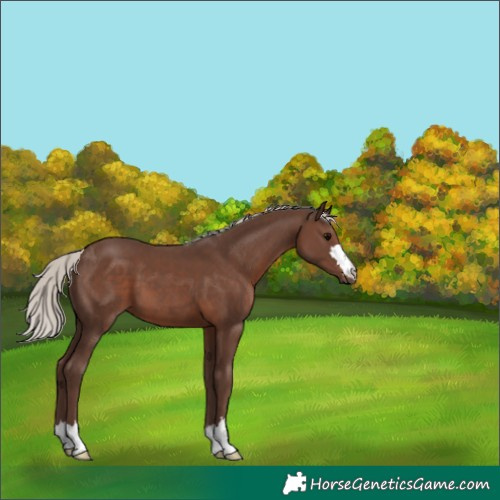 Horse Color:Silver Black 
