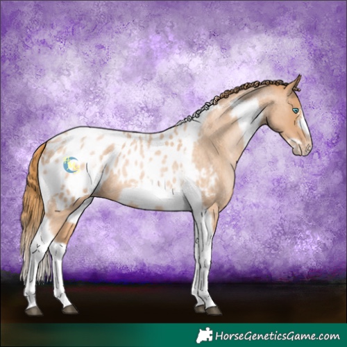 Horse Color:Red Roan Pearl Tobiano Frame Blanket