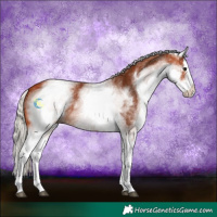 Horse Color:White Spotted Silver Bay Splash 