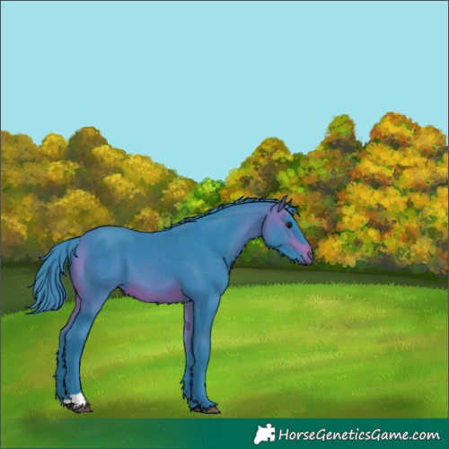 Horse Color:Watercolor Brown 