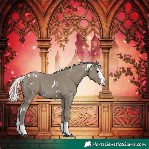 Horse Color:White Spotted Silver Smoky Black Splash 