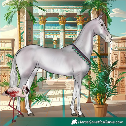 Horse Color:Watercolor Silver Bay Pearl Onyx