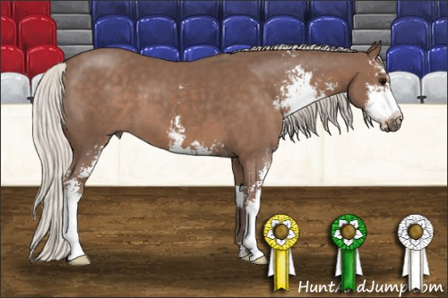 Horse Color:Silver Black Sabino 