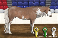 Horse Color:Silver Black Sabino 