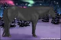 Horse Color:Black Sabino 
