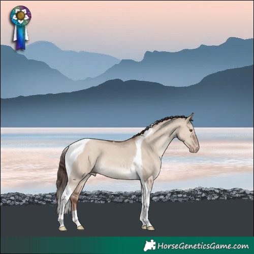 Horse Color:Classic Champagne Dun Tobiano 