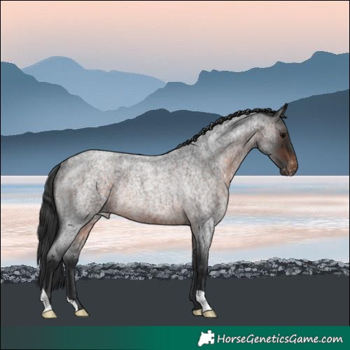 Horse Color:Brown Roan Varnish Rabicano 