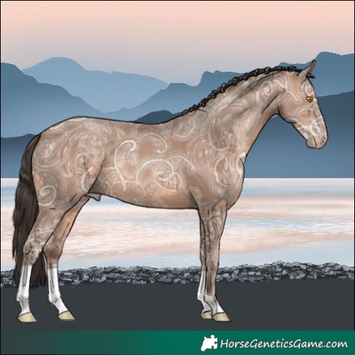 Horse Color:Sable Champagne Ice