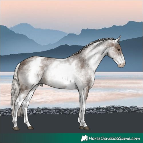 Horse Color:White Spotted Silver Black 