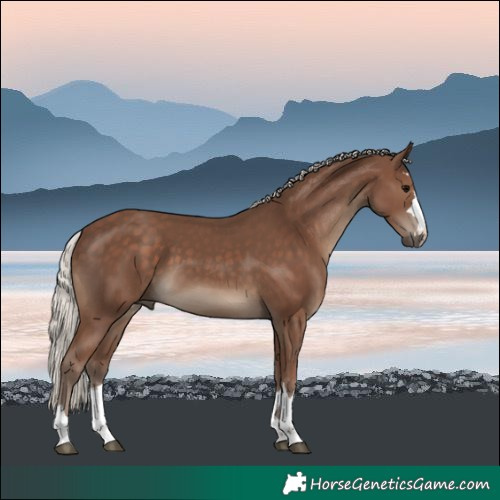 Horse Color:Silver Black