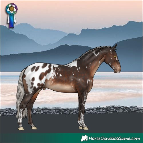 Horse Color:White Spotted Silver Brown Tobiano Blanket Rabicano 