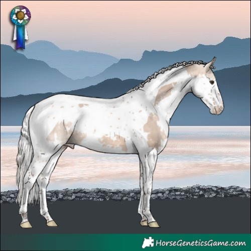 Horse Color:White Spotted Silver Brown Dun Splash Tobiano Varnish 