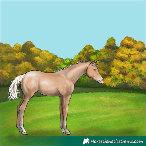 Horse Color:Silver Bay Pearl 