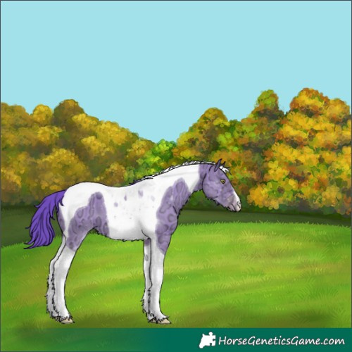 Horse Color:Watercolor Sable Champagne Ice Dun Tobiano 