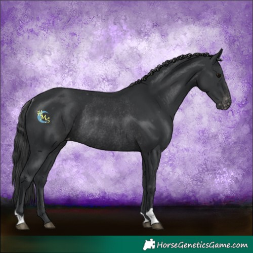 Horse Color:Black Varnish Rabicano