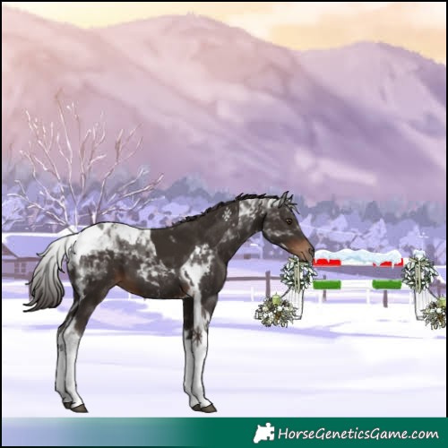 Horse Color:Liver Chestnut Tobiano 