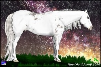 Horse Color:Silver Black Ice Sabino 