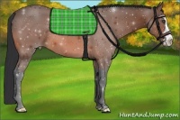Horse Color:Bay Splash Frame