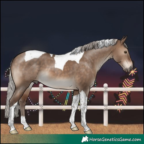Horse Color:Silver Brown Dun Tobiano