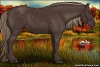 Horse Color:Liver Chestnut Frame