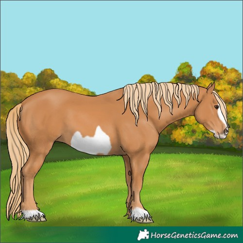 Horse Color:Chestnut Frame 
