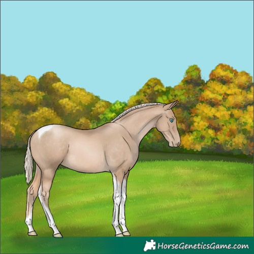 Horse Color:Chocolate Palomino Pearl Tobiano 