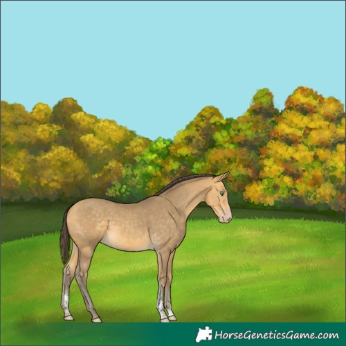 Horse Color:Sable Cream Champagne Sabino Rabicano 
