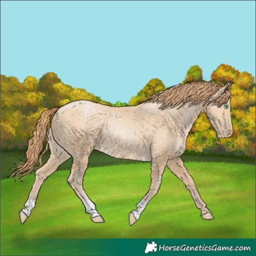Horse Color:Smoky Black Pearl 