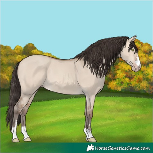 Horse Color:Unknown