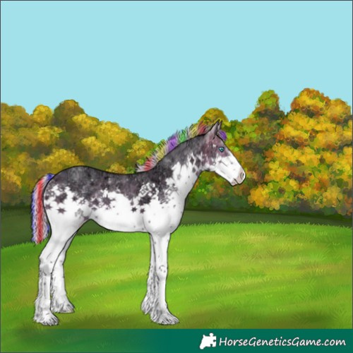 Horse Color:Painted Watercolor Silver Brown Ice Sabino Splash