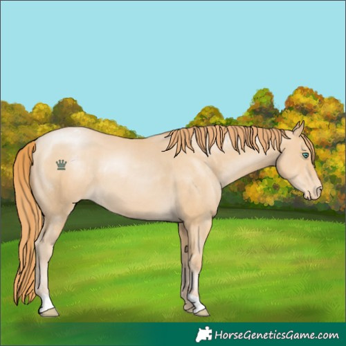 Horse Color:Smoky Black Pearl Varnish