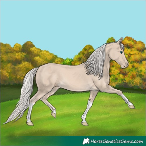 Horse Color:Cremello Tobiano