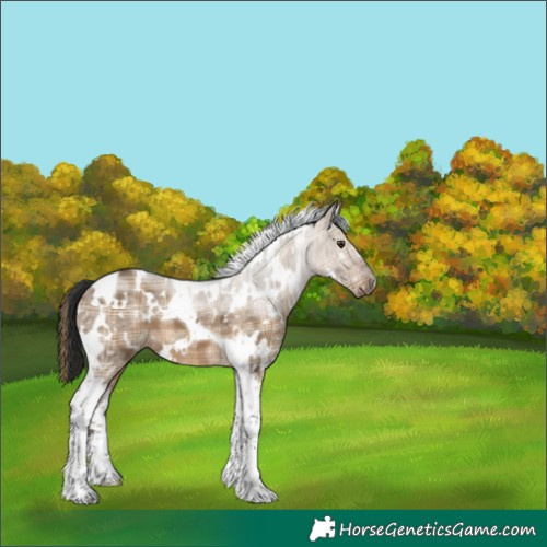 Horse Color:Plaid White Spotted Liver Red Dun Ice Tobiano