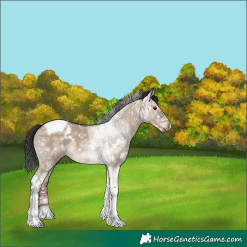 Horse Color:White Spotted Liver Red Dun Ice Tobiano Rabicano