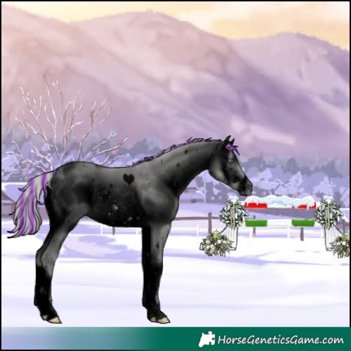 Horse Color:ERROR: UNKNOWN ANOMALY